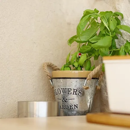 Contarini Appartamento *