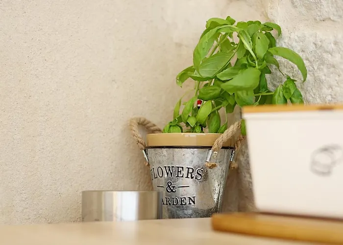 Contarini דירה *